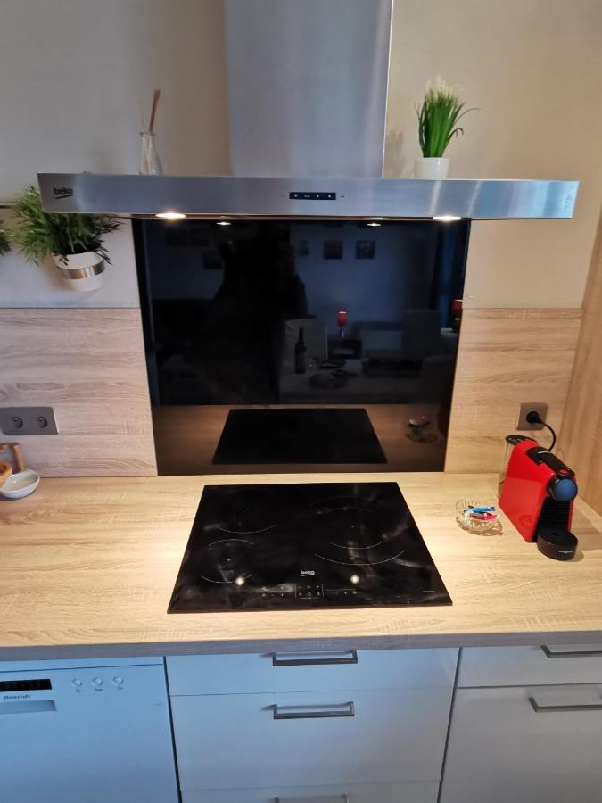 Le Duplex - Hyper Centre - Gare - Wifi - Netflix - Disney + Annecy Buitenkant foto