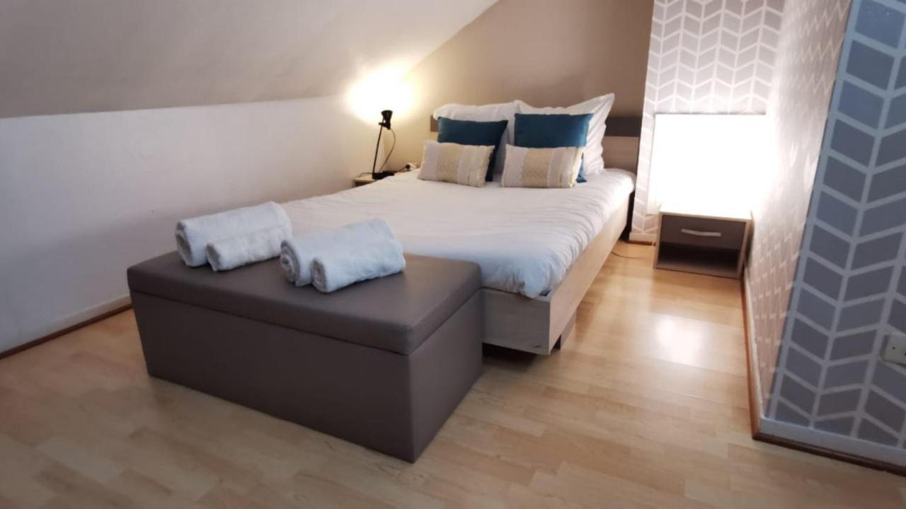 Le Duplex - Hyper Centre - Gare - Wifi - Netflix - Disney + Annecy Buitenkant foto