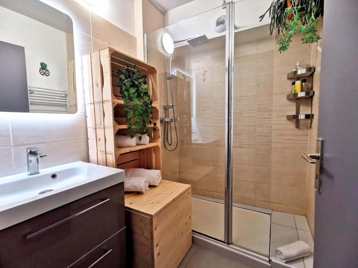 Le Duplex - Hyper Centre - Gare - Wifi - Netflix - Disney + Annecy Buitenkant foto
